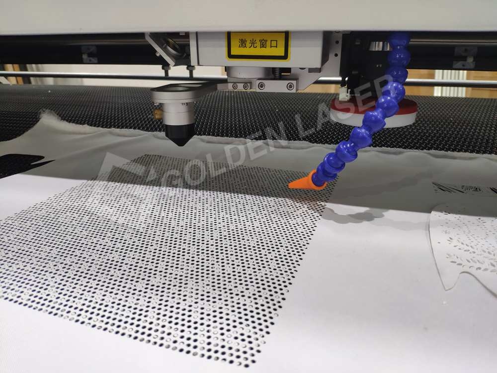 galvo and gantry laser system with camera