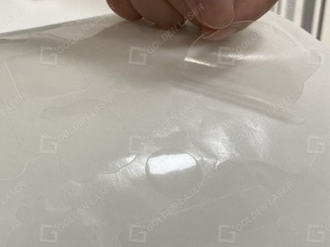 transparent PET film